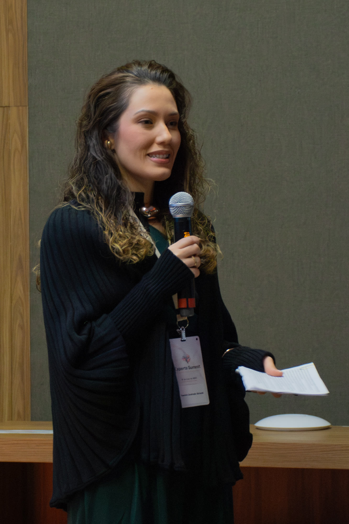 Experts Summit